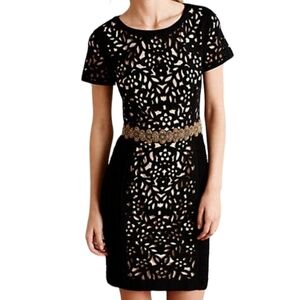 Anthropologie Maeve Basalt Laser Cut Dress Size 12